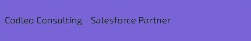 Codleo Consulting - Salesforce Partner